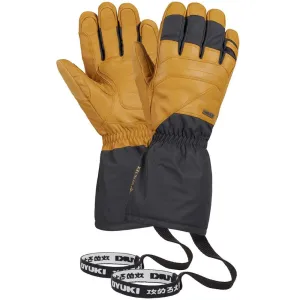 Arashi Guide Gtx Gloves